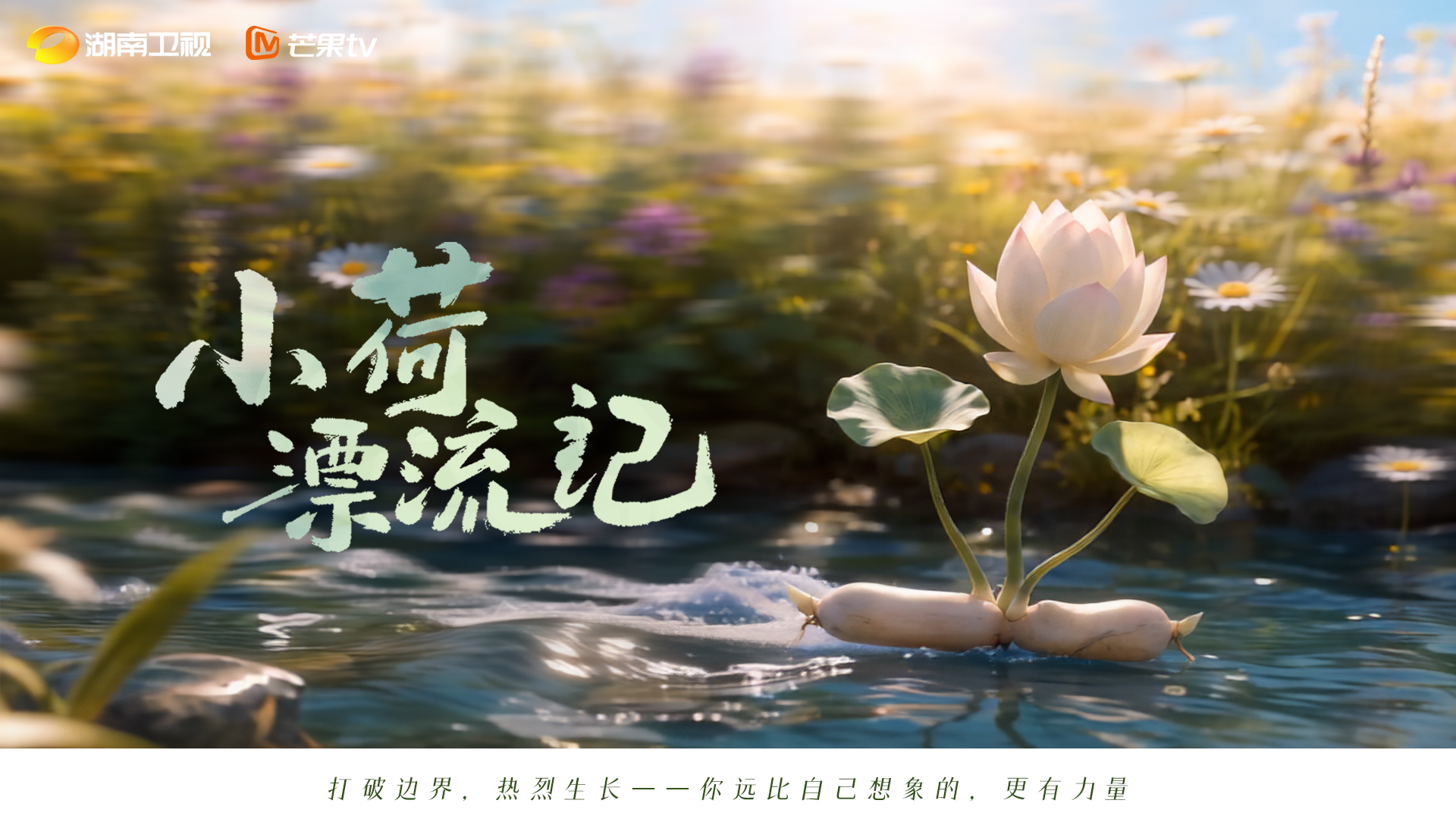 荷花画面与《小荷漂流记》片名，带有湖南卫视、芒果TV标识